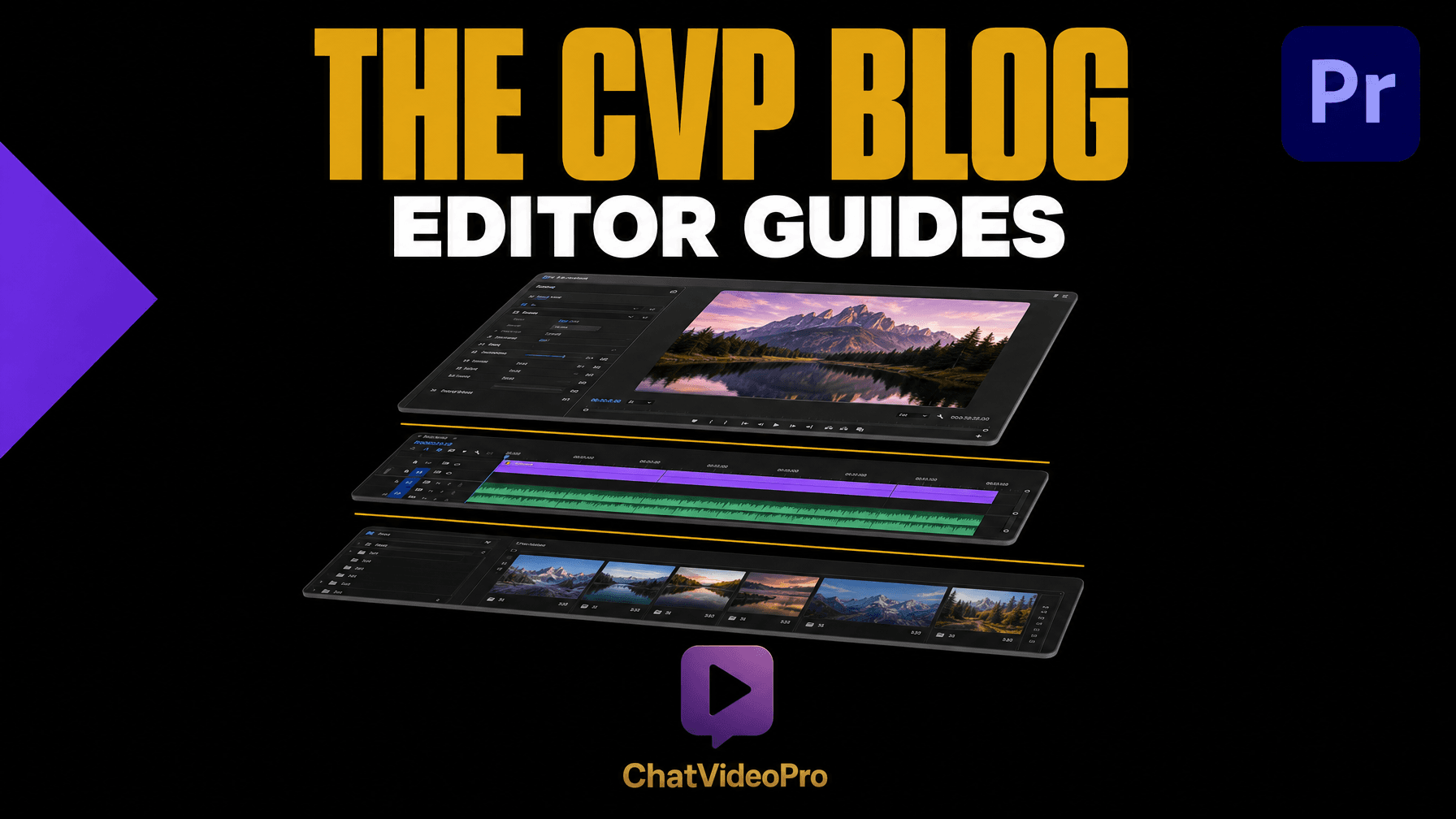 Chat Video Pro blog: adobe speech to text vs story scribe