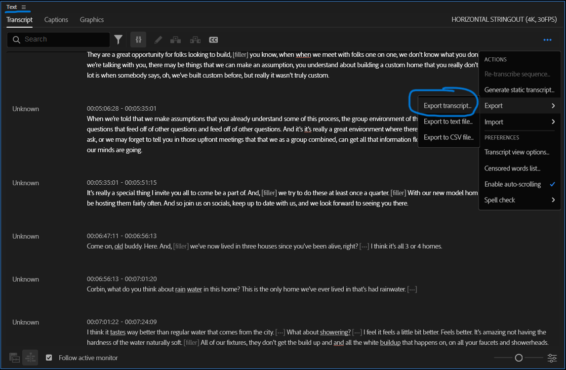 Premiere Text panel exporting a JSON transcript file